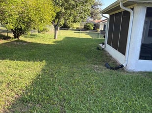 Jacques B.'s lawn maintenance service result