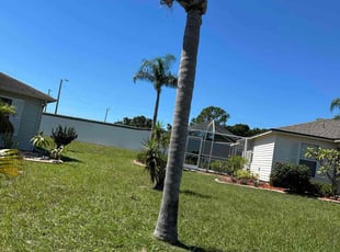 David W.'s Tree Care service result