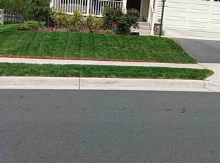 Sandra H.'s turf maintenance service result