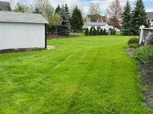 Laura D.'s lawn care services service result