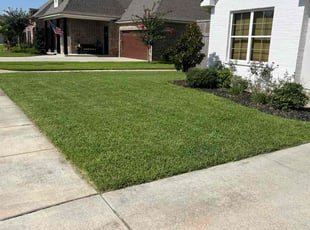 Sandra G.'s lawn service service result