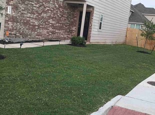 Wayne B.'s grass maintenance service result