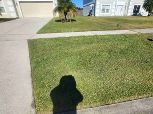 Elizabeth B.'s turf care service result