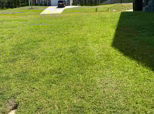 Clarissa C.'s turf care service result