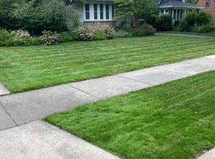 Kim N.'s turf care service result