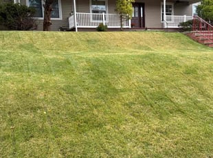 Jazmine B.'s lawn care service result