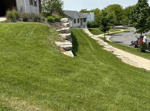 Tamika C.'s Leaf Removal service result