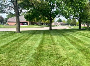 Carlésa H.'s lawn care services service result