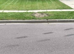 Cordelia B.'s turf maintenance service result