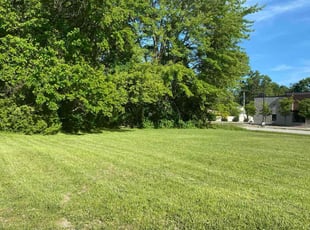 Diane T.'s grass cutting service result