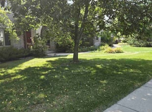 Bill H.'s lawn maintenance service result