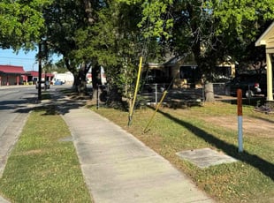Joshua W.'s Leaf Removal service result