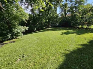 Antonia J.'s lawn care services service result