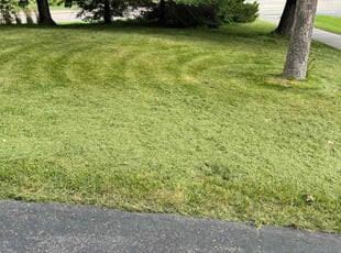 Andrew H.'s lawn care service result