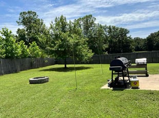 Pamela G.'s turf care service result