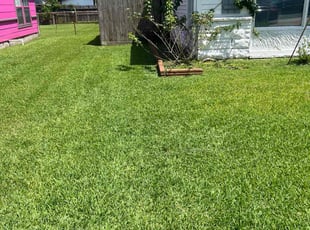 Felicia T.'s grass maintenance service result