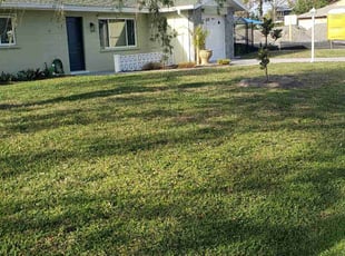 Sue I.'s grass cutting service result