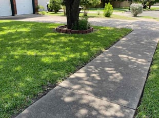 Matthew R.'s turf care service result