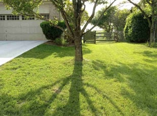 David H.'s lawn maintenance service result