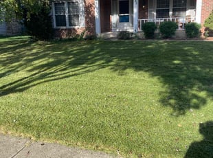 Brian N.'s lawn care services service result