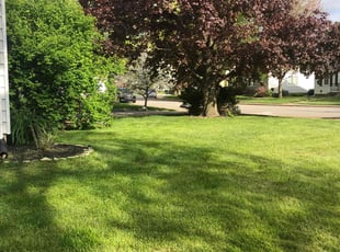 JACK K.'s lawn maintenance service result