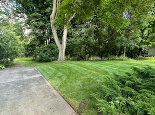 Michael Dante A.'s turf maintenance service result