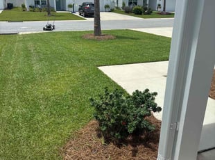 Kevin K.'s lawn maintenance service result
