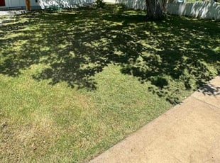Brad F.'s lawn service service result