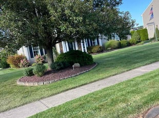 Felix H.'s lawn maintenance service result
