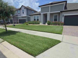 Kelsey W.'s turf maintenance service result