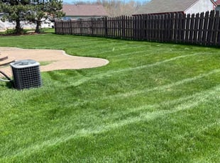 Dannielle A.'s lawn care services service result