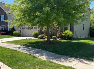 Jere F.'s lawn care service result