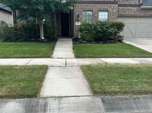 Taylor D.'s lawn care service result