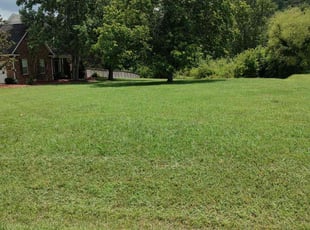 Sunil K.'s grass cutting service result