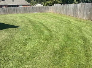 Sinoi H.'s turf maintenance service result