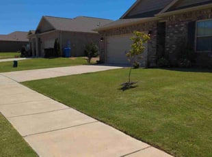 Anna G.'s grass cutting service result