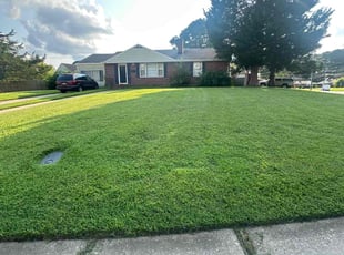 David B.'s grass cutting service result
