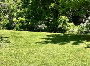 Veronica B.'s turf care service result