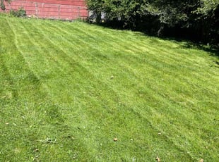 Phillip C.'s lawn care services service result