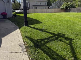 Anthony G.'s grass cutting service result