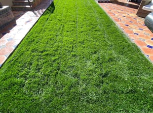 Richard S.'s yard maintenance service result