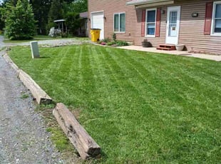 Donna F.'s lawn care service result