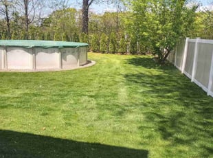 Rickel B.'s lawn service service result