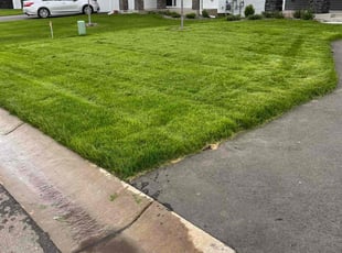 Erik P.'s lawn service service result