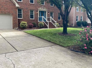 Melissa S.'s turf care service result
