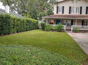 Shellise C.'s grass cutting service result