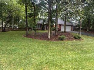 Cheryl A.'s grass cutting service result