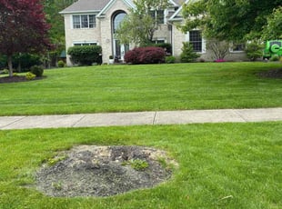 Justin B.'s lawn service service result