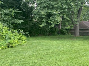 Patricia O.'s grass cutting service result