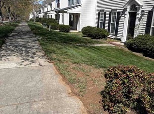 Idella L.'s lawn care services service result